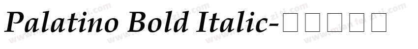 Palatino Bold Italic字体转换